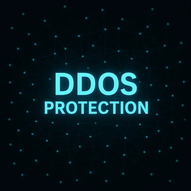 DDOS-Guard and its controversial online protection