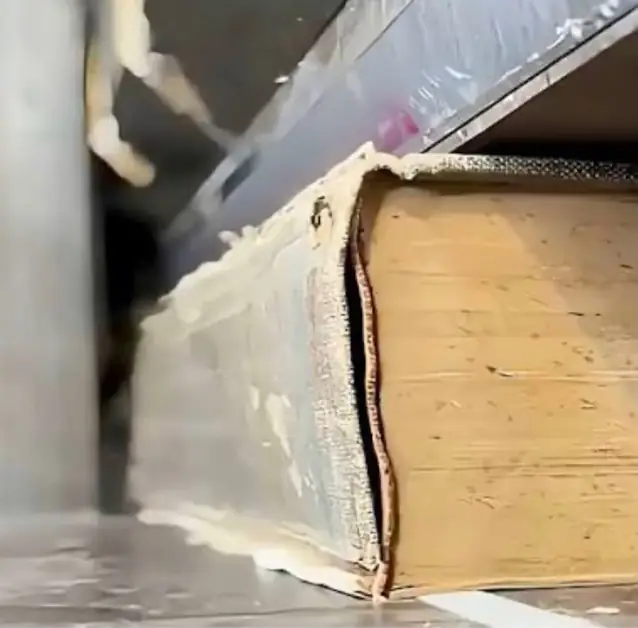Destructive scanning: digitizing at the expense of the book